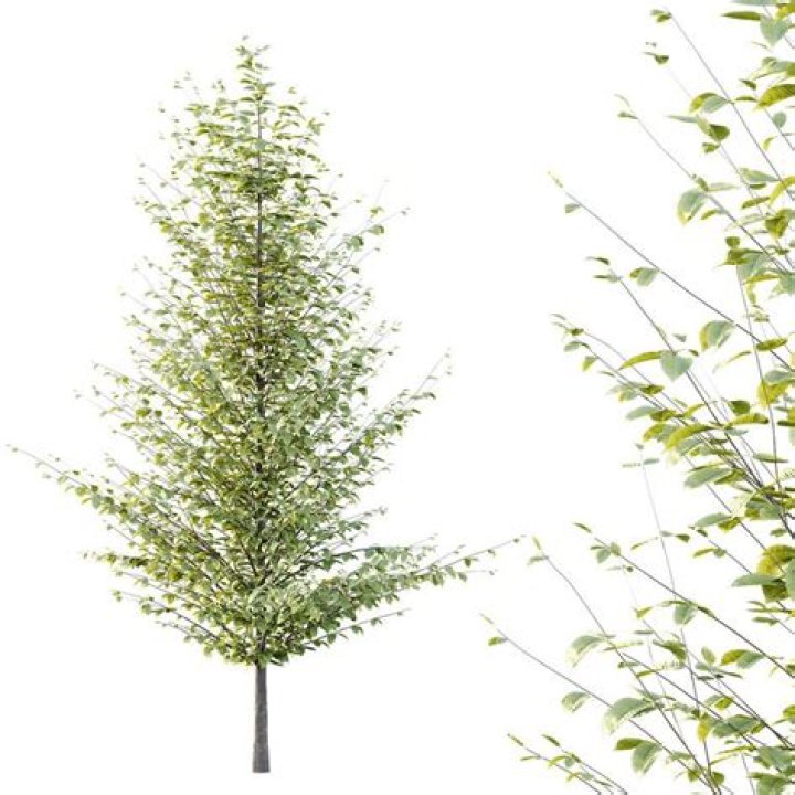 The Witcher Season 3 Part 2 Trailer, The Witcher Season 3 Part 2 Release date