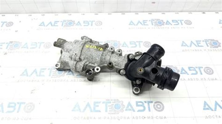 Vincent Sasso Net Worth: Career, Family, Age, Income, Wiki, Bio, All You Need to Know - SarkariResult