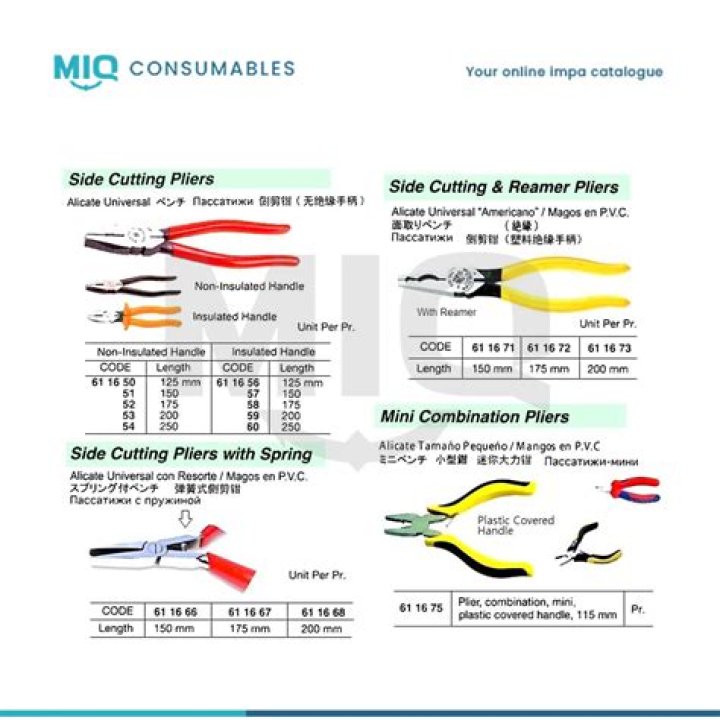 Who is Scott Hamilton? Where is He Curently Now? Know All About Him - SarkariResult
